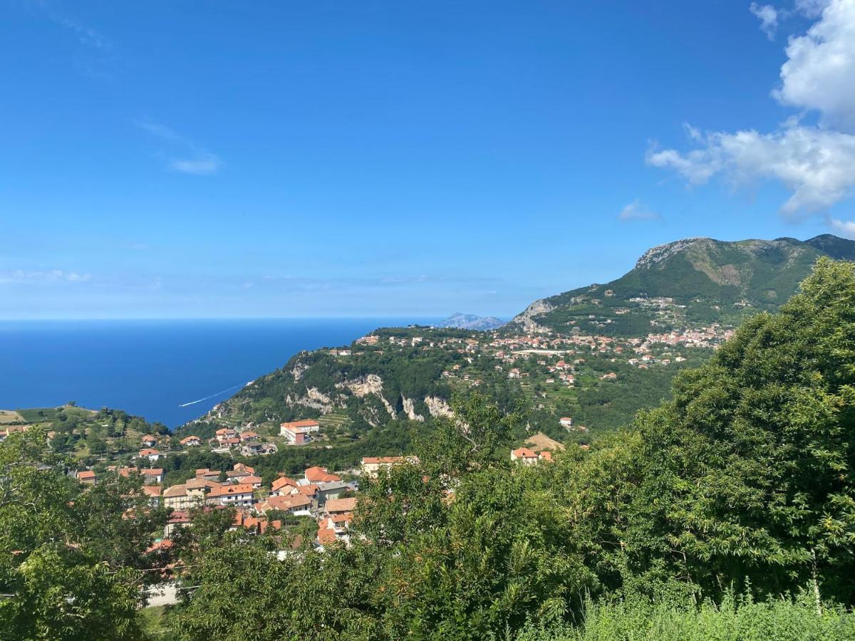 B&B Villa Reginella Agerola Εξωτερικό φωτογραφία